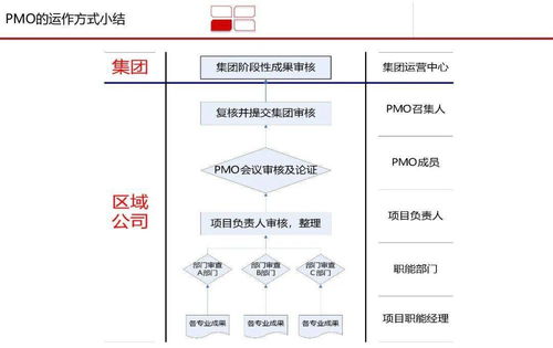 高效龍湖PMO項目管理體系研究 提升企業(yè)管理的核心引擎