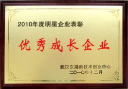 武漢時代地智科技股份 油田勘探開發(fā)軟件研發(fā)與技術(shù)服務(wù)的領(lǐng)航者